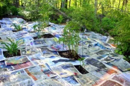 Газон на газетах метод англійських садівників