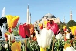 Геноцид вірмен хто спровокував трагедію