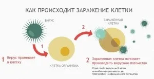 Герпес на губах причини, симптоми, фото, швидке лікування препаратами (губах) Герпес на губах причини, симптоми, фото, швидке лікування препаратами
