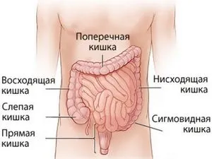 Гіперпневматоз кишечника що це таке (кишечника Пневматоз кишечника) Гіперпневматоз кишечника що це таке