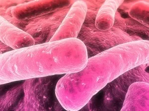 Гіперпневматоз кишечника що це таке (досить рідкісним захворюванням) Гіперпневматоз кишечника що це таке