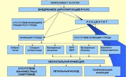 Герпес у новонароджених дітей симптоми і лікування (новонароджених) Герпес у новонароджених дітей симптоми і лікування