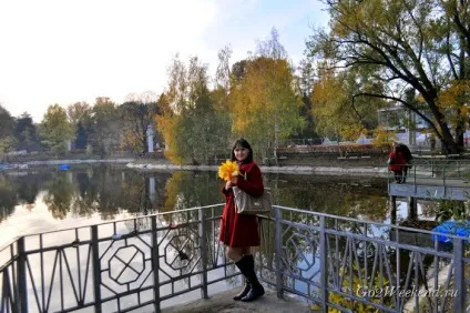 Головний ботанічний сад ім