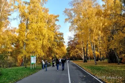 Головний ботанічний сад ім