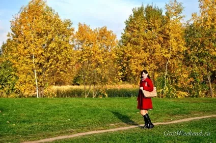 Головний ботанічний сад ім