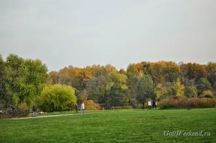 Головний ботанічний сад ім