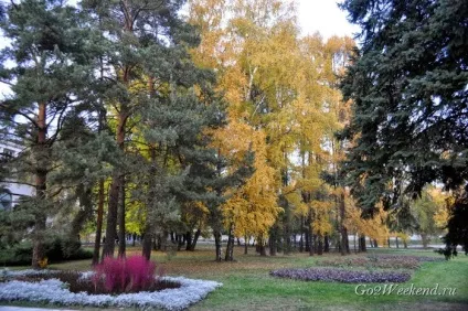 Головний ботанічний сад ім