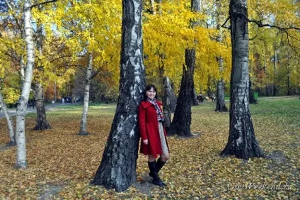 Головний ботанічний сад ім