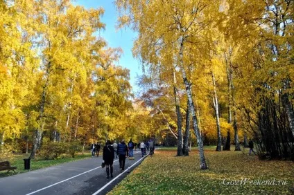 Головний ботанічний сад ім