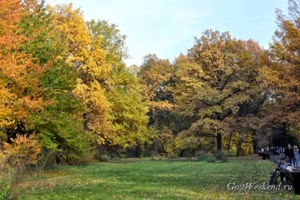Головний ботанічний сад ім