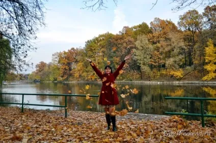 Головний ботанічний сад ім