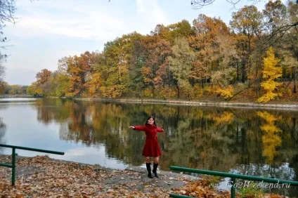 Головний ботанічний сад ім