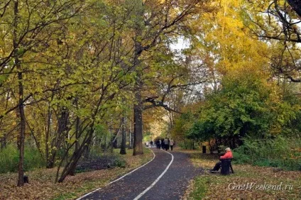Головний ботанічний сад ім