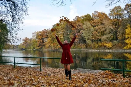 Головний ботанічний сад ім