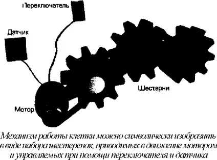 Глава 1 ворота що це значить