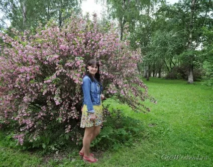 Головний ботанічний сад ім