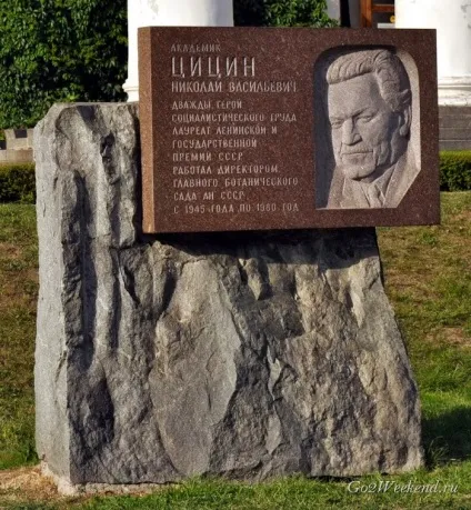 Головний ботанічний сад ім