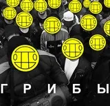 Гриби - інтро текст пісні (слова) дивитися відео кліп (гриби) Гриби - інтро текст пісні (слова) дивитися відео кліп