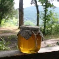 гірський мед