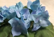 Гортензія з фоамірана як зробити майстер клас, фото шаблонів квітів, відео, чим можна замінити (майстер) Гортензія з фоамірана як зробити майстер клас, фото шаблонів квітів, відео, чим можна замінити