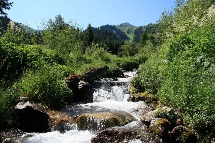 Гірський масив Заилийский Алатау, відображення (масив) Гірський масив Заилийский Алатау, відображення