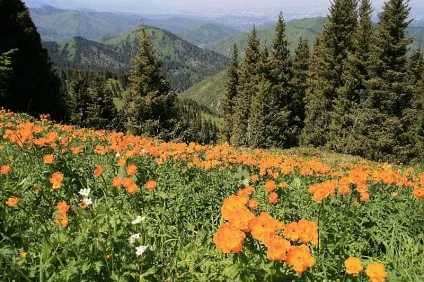 Гірський масив Заилийский Алатау, відображення (Заилийский Алатау) Гірський масив Заилийский Алатау, відображення