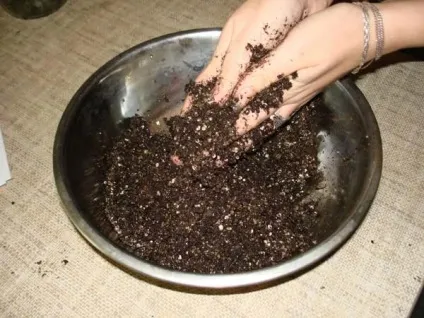 Грунт для фіалок склад і як зробити своїми руками (деревами така земля) Грунт для фіалок склад і як зробити своїми руками