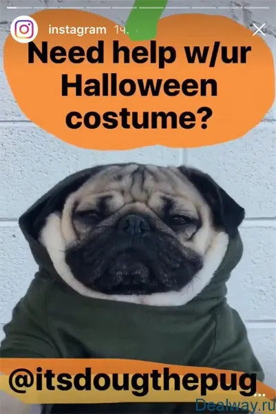 Instagram stories (інстаграм історії) - як користуватися і що це таке, dealway blog