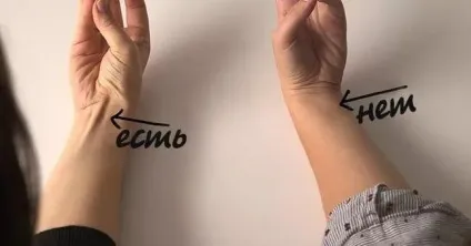 Цікаві факти про м'язи людини