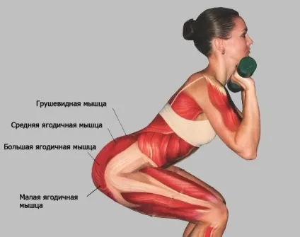 Цікаві факти про м'язи людини