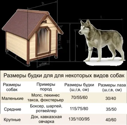 Інструкція, як зробити будку для собаки своїми руками, креслення і фото (будку) Інструкція, як зробити будку для собаки своїми руками, креслення і фото