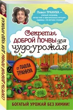 Як освоїти цілинний ділянку землі під грядки (дерен) Як освоїти цілинний ділянку землі під грядки