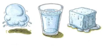 Яка роль води в клітині людини (клітці) Яка роль води в клітині людини