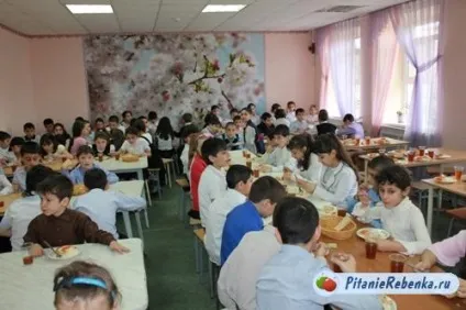 Якою має бути їдальня в школі (школі) Якою має бути їдальня в школі