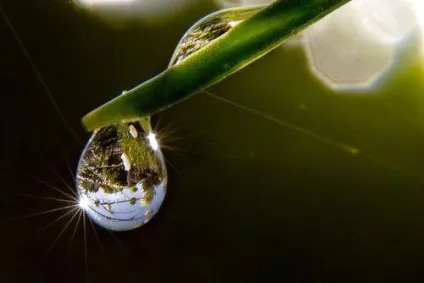 Яка роль води в клітині людини (клітці) Яка роль води в клітині людини