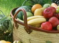 Історія картоплі вУкаіни, що міститься в картоплі і що можна з нього приготувати (росії) Історія картоплі вУкаіни, що міститься в картоплі і що можна з нього приготувати