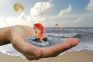 Виконання бажань або як залучити фортуну (коштувати) Виконання бажань або як залучити фортуну