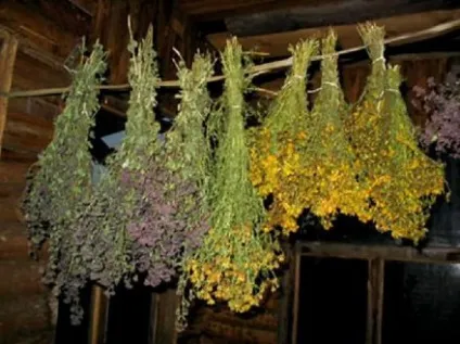 Івана Купала