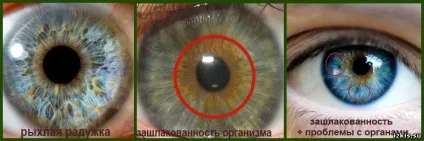 Izkiss - жіночий сайт в картинках для цікавих