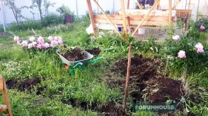 Виготовлення тандиру своїми руками (тандиру своїми руками) Виготовлення тандиру своїми руками