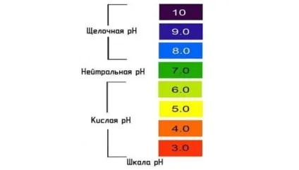 Як боротися з кислотними дощами - шляхи вирішення проблеми (шляху) Як боротися з кислотними дощами - шляхи вирішення проблеми