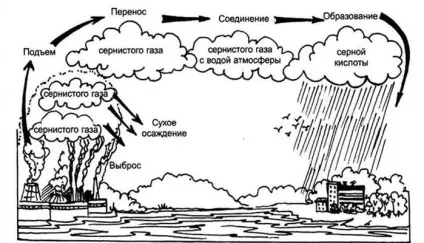 Як боротися з кислотними дощами - шляхи вирішення проблеми (шляху) Як боротися з кислотними дощами - шляхи вирішення проблеми