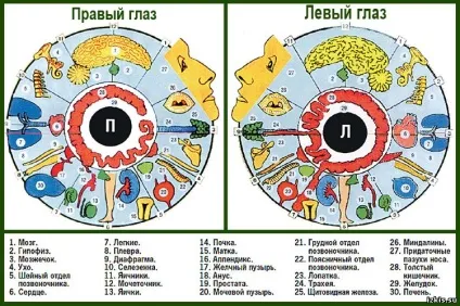 Izkiss - жіночий сайт в картинках для цікавих