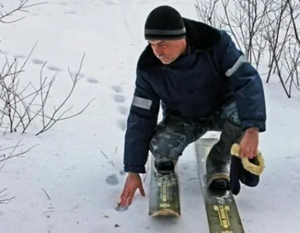 Як Новомосковскть сліди тварин на снігу