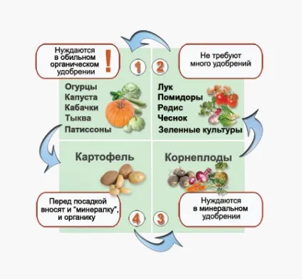 Які овочі можна садити поруч