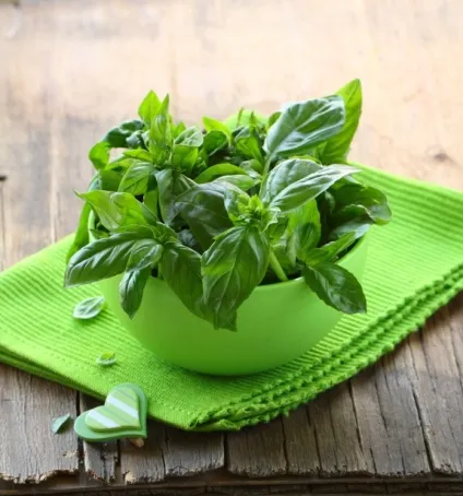 Як довше зберігати свіжість продуктів, офіційний сайт кулінарних рецептів юлии висоцької (можна зберігати холодильнику) Як довше зберігати свіжість продуктів, офіційний сайт кулінарних рецептів юлии висоцької