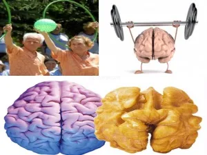 Як можна захистити свій мозок від старіння, мій знахар (кошти для мозку) Як можна захистити свій мозок від старіння, мій знахар