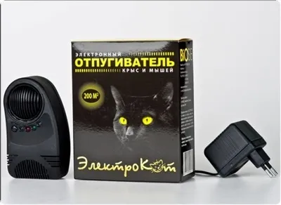 Як позбутися мишей в квартирі дієві методи і поради (методи) Як позбутися мишей в квартирі дієві методи і поради