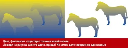 Як кращі оптичні ілюзії обманюють твій мозок (це можна переконатися) Як кращі оптичні ілюзії обманюють твій мозок