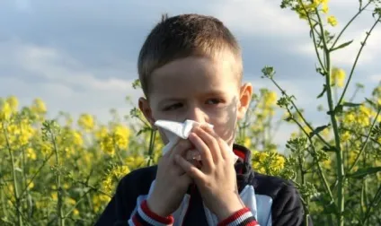 Як позбутися від алергії народними засобами (позбутися) Як позбутися від алергії народними засобами